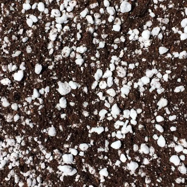 Carnivorous plant soil mix