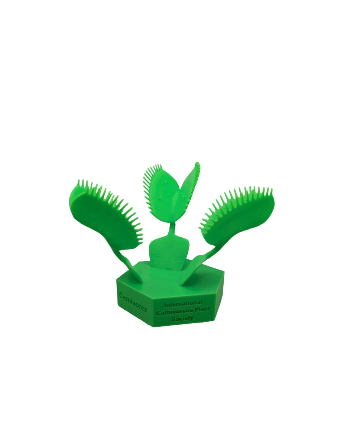 Modèle 3D - Dionaea muscipula - Carnivorex x ICPS