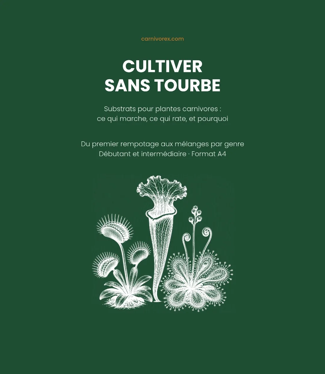 Guide: Cultiver sans tourbe