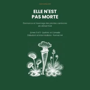 Guide: Dormance et hivernage des plantes carnivores en climat froid