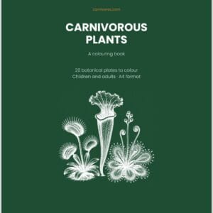 Colouring Book : Carnivorous plants (20 pages)